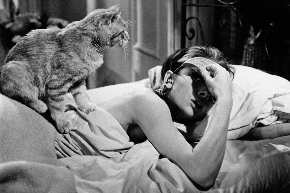 audrey-hepburn-cat-lady-crazy