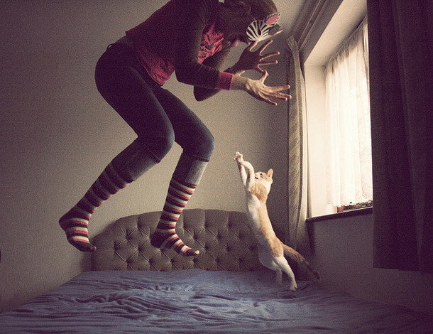 Favim.com-bed-cat-crazy-girl-jump-404669