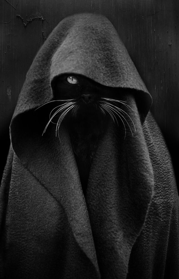 Gouzmi - Photography by Audrey Baschet.