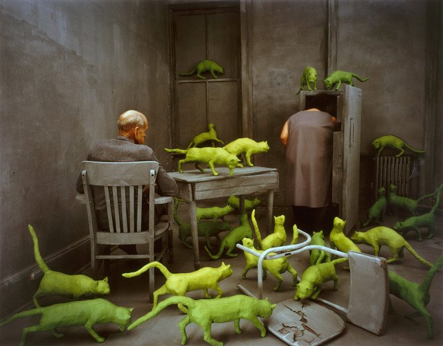 ok-skoglund