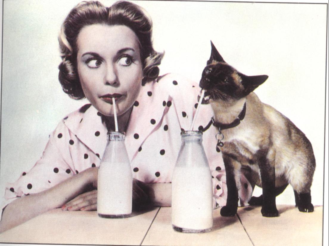 siamoietactrice