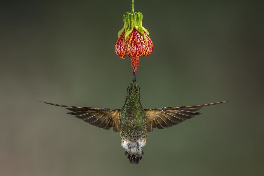 travel.nationalgeographic.com