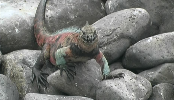 Capture d’écran 2019-04-23 à 21.13.02.png